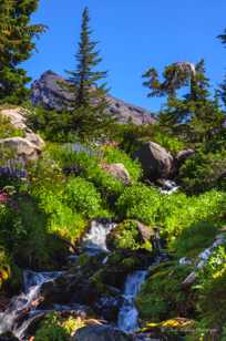 Broken Top above brook-5985.jpg Broken Top above brook-5985.jpg